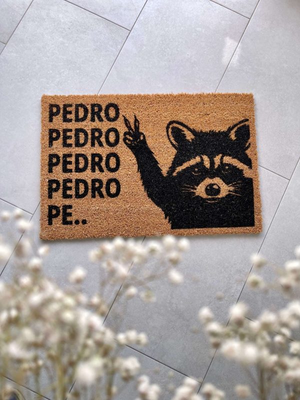 pedro raccoon pedro-raccoon