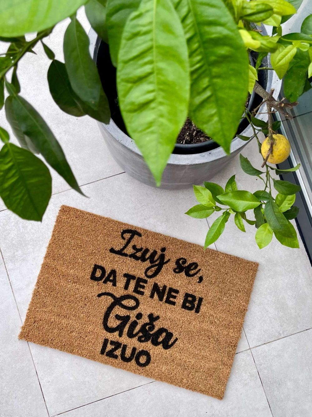 izuj-se-da-te-ne-bi-Gisa-izuo